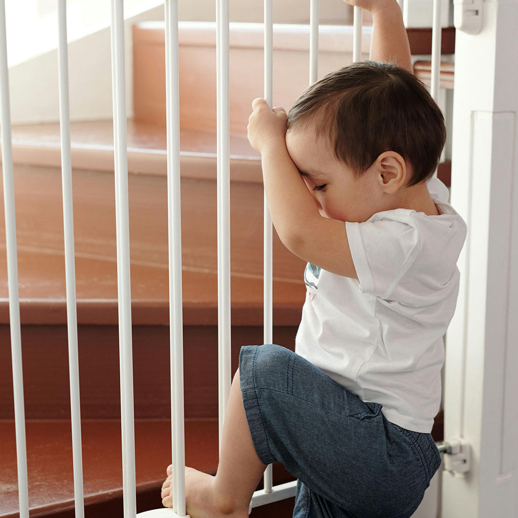 Install Baby Proof Latches ( up to 3)